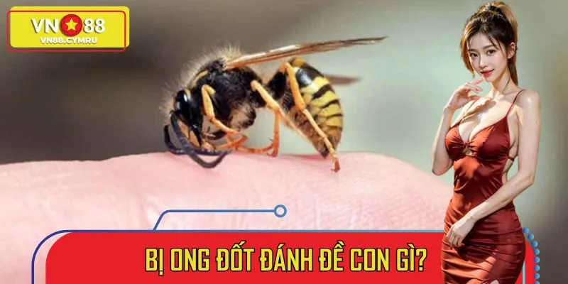 Xổ số - VN88 - slotlivo68.sbs