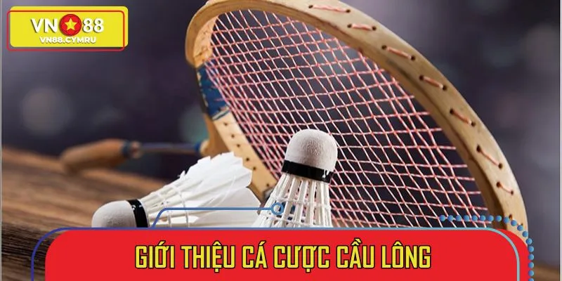 Thắng Đậm Cá Cược Cầu Lông: Chiến Lược Bậc Thầy Từ VN88 - slotlivo68.sbs